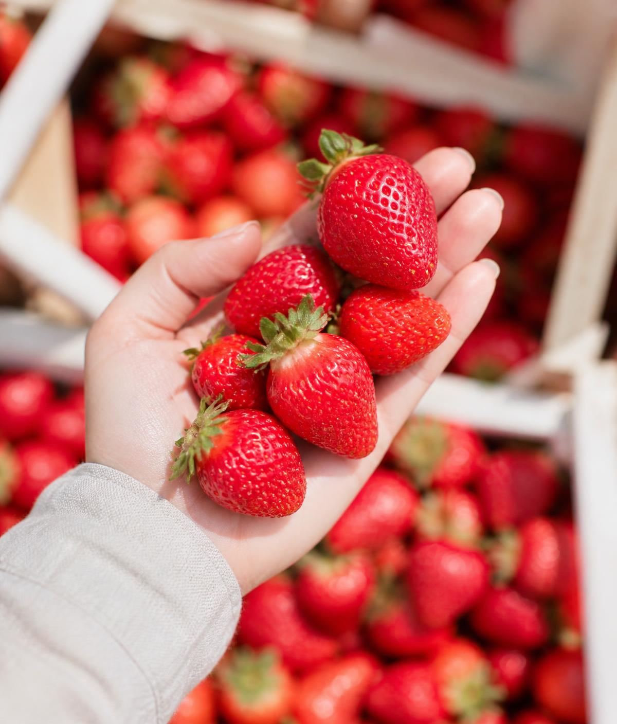 Shopper holding fresh strawberries at a market stall